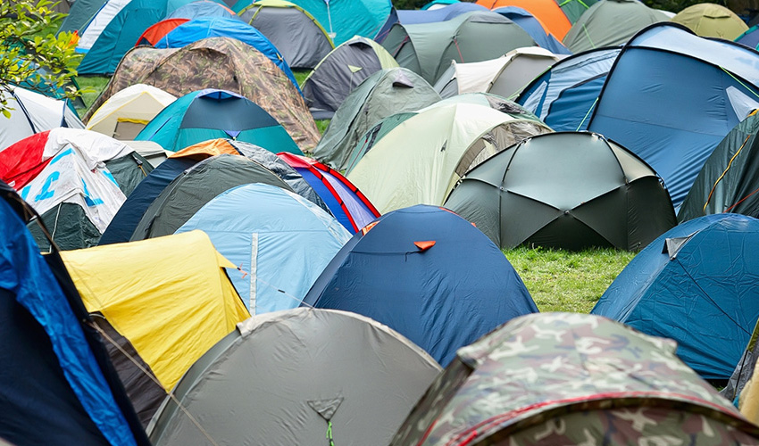 Festival Survival Guide