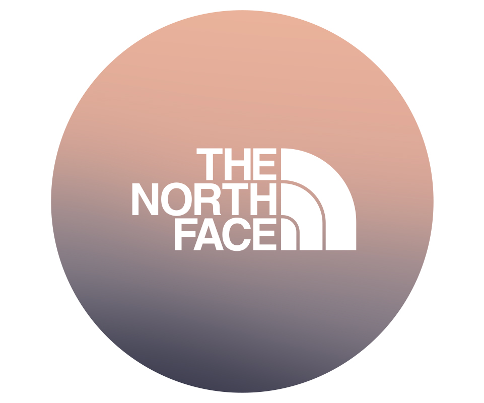 The North Face logo