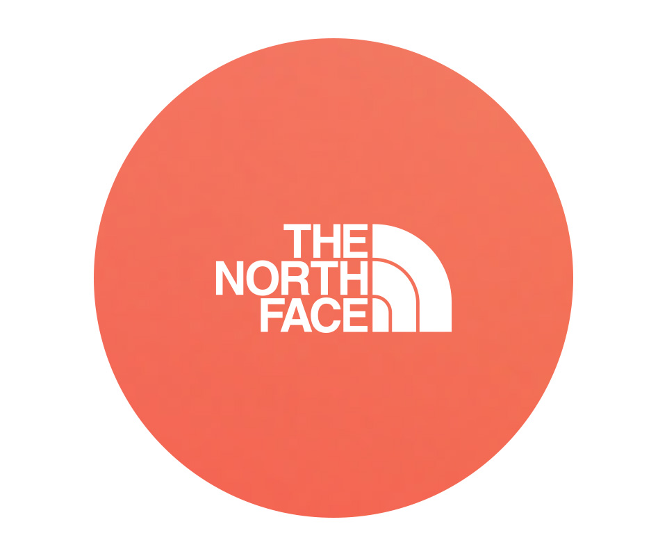 The North Face logo