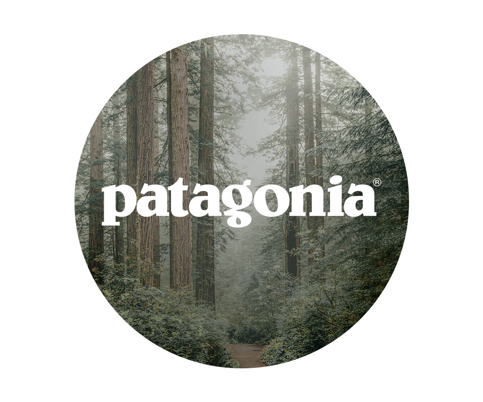 Patagonia logo