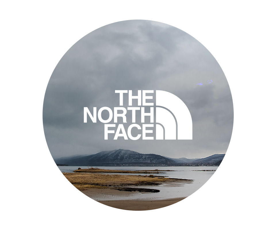 The North Face logo