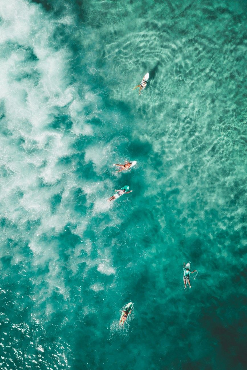 People swimming in the ocean at Bondi Beach