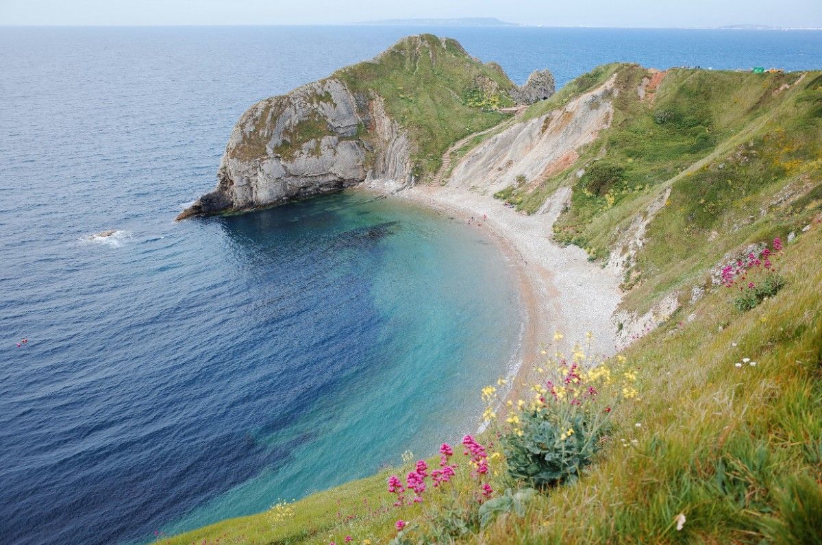 Durdle Door Beach in the summer, with lots of plants and greenery on the cliffside