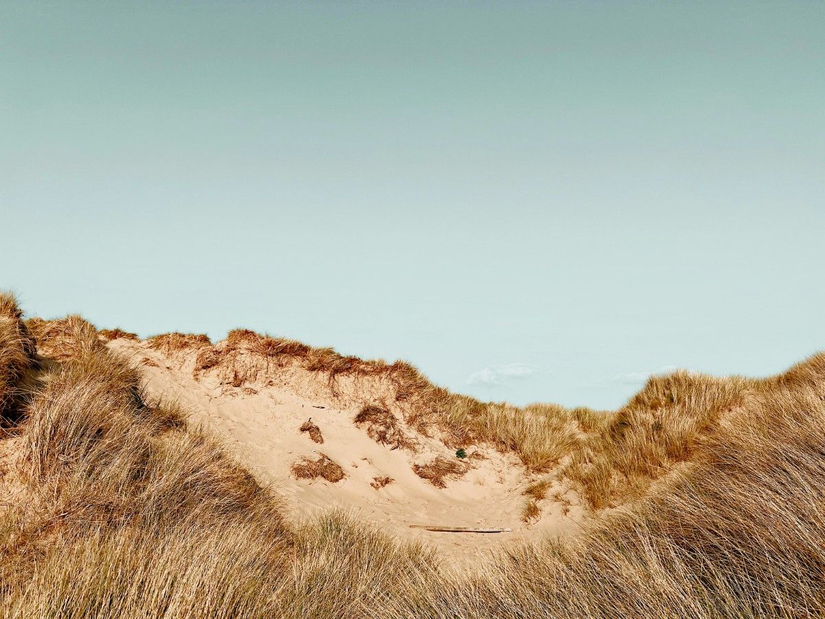 Formby Beach grassy sand dunes