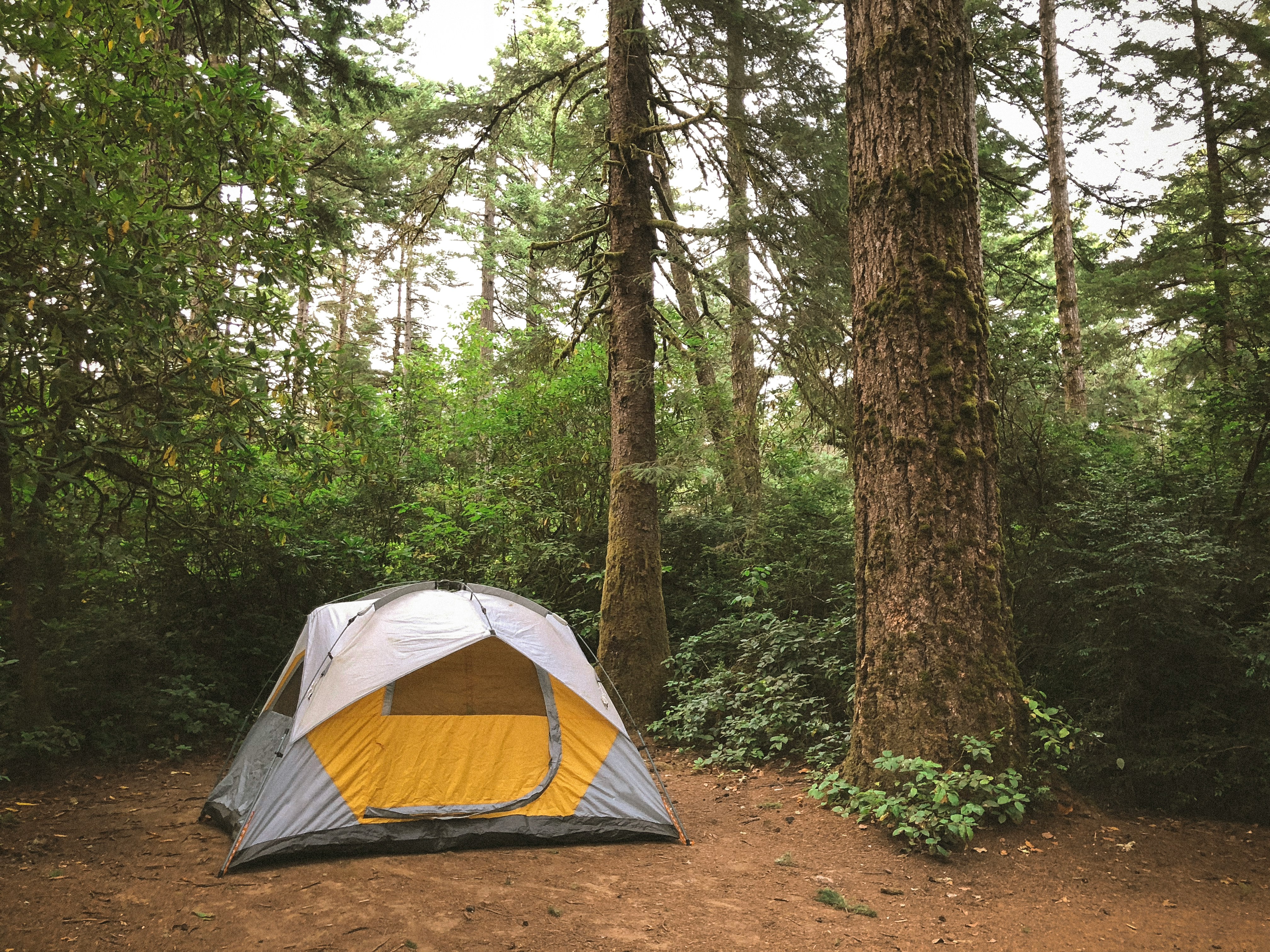 A tent pitched in the wilderness