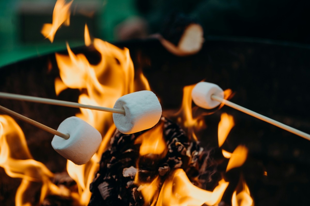 Roasting marshmallows on the campfire