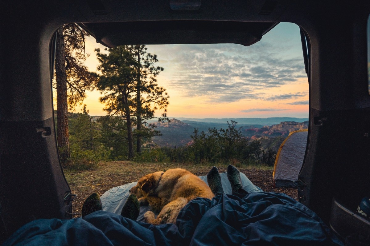 Two people sat in their tent with their dog in their porch and the woodlands in the background