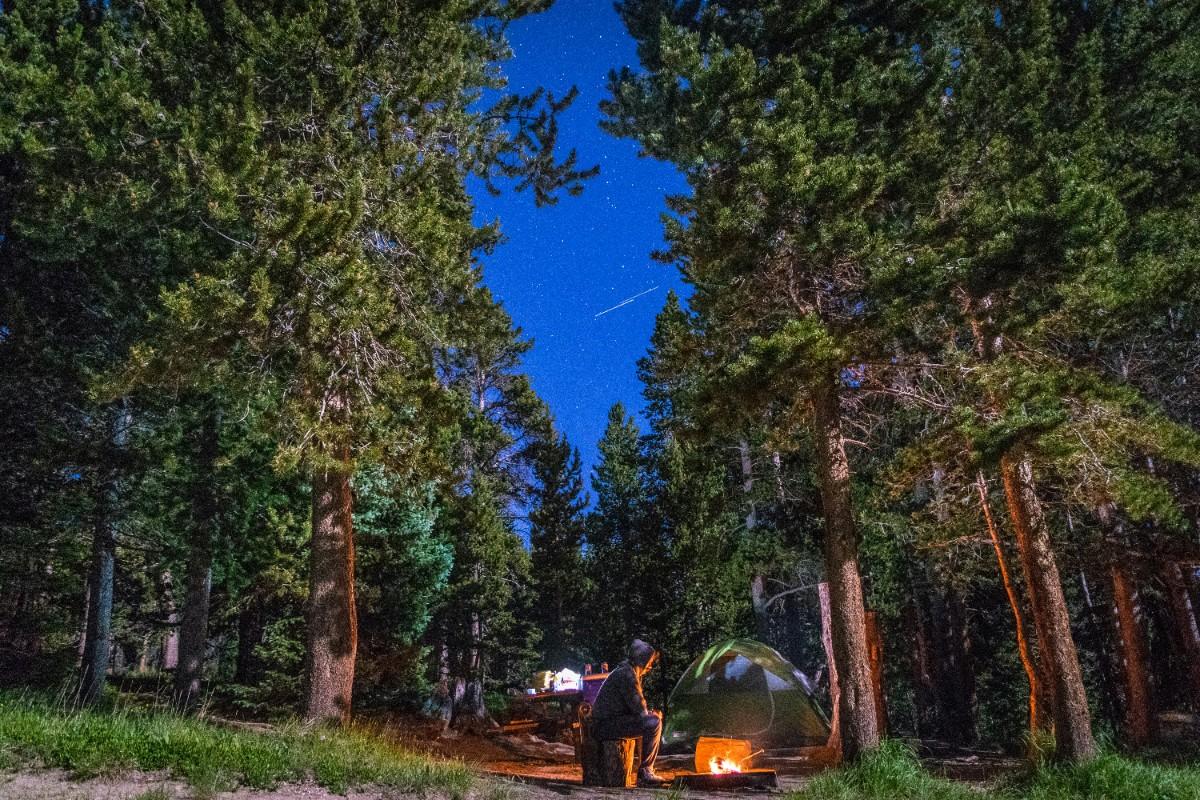 Camping in the forest 