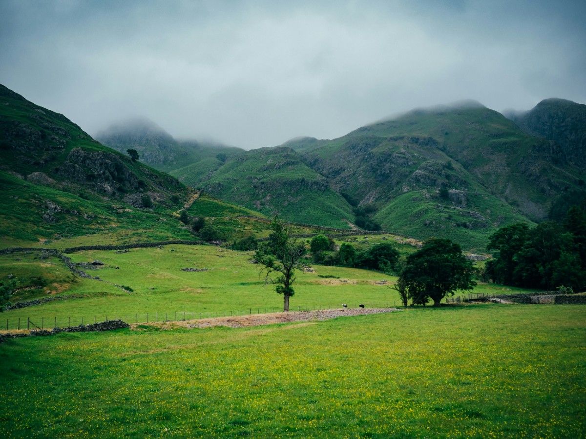 A field in Great Langdale