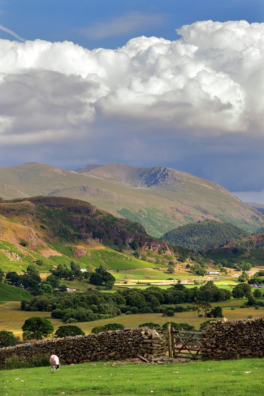 An image of the peaks of the lake district and fields with sheep roaming 