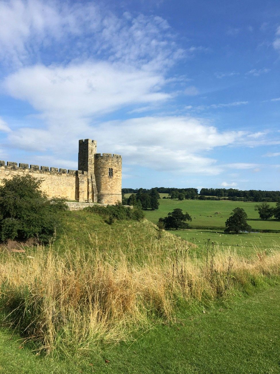 Alnwick Castle in a field