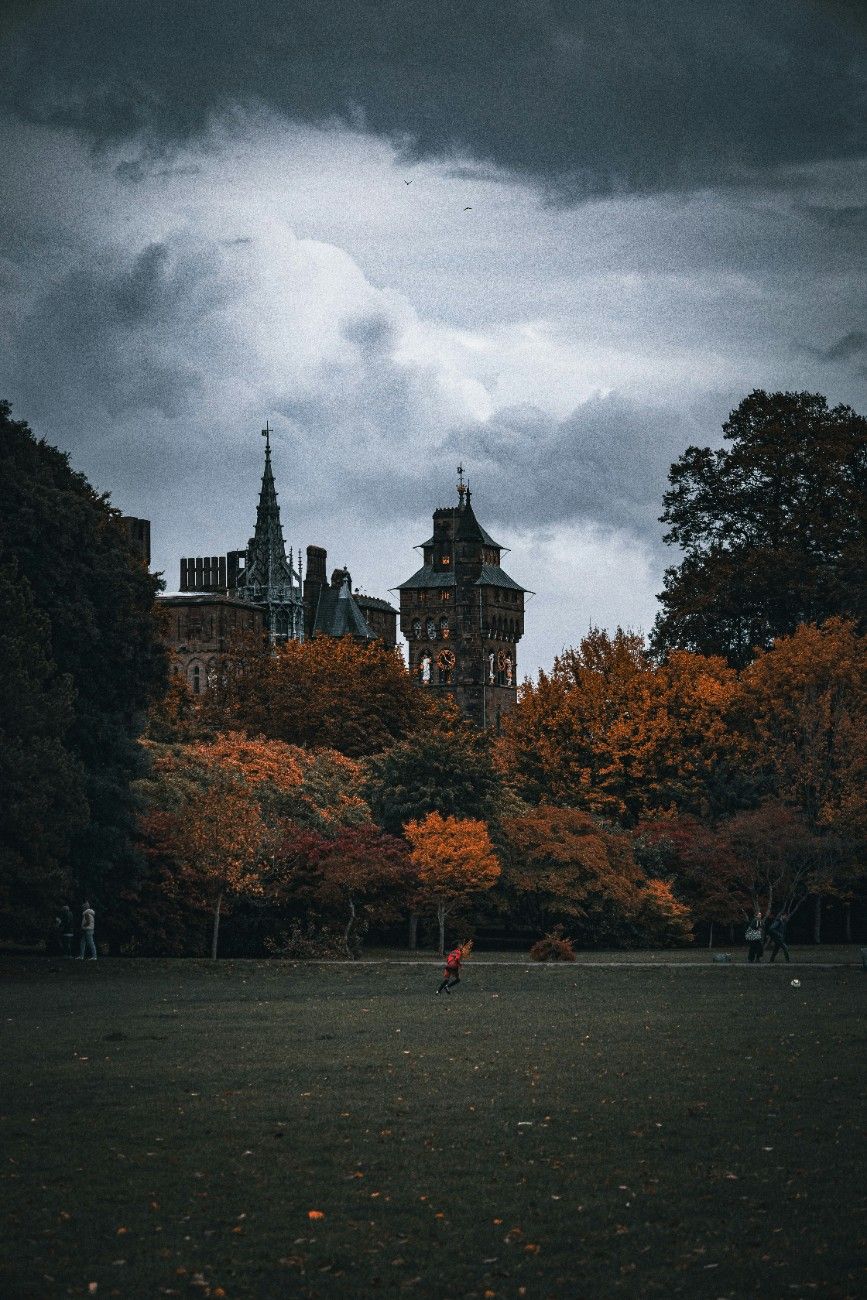 Cardiff Castle and the castle grounds