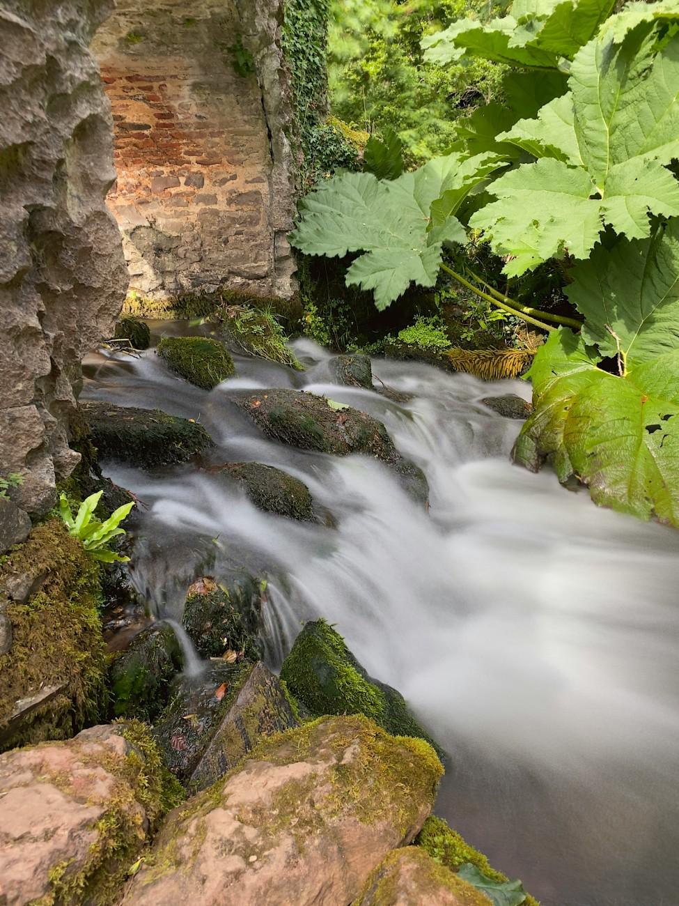 A stream in the gardens of Dunster Castle 