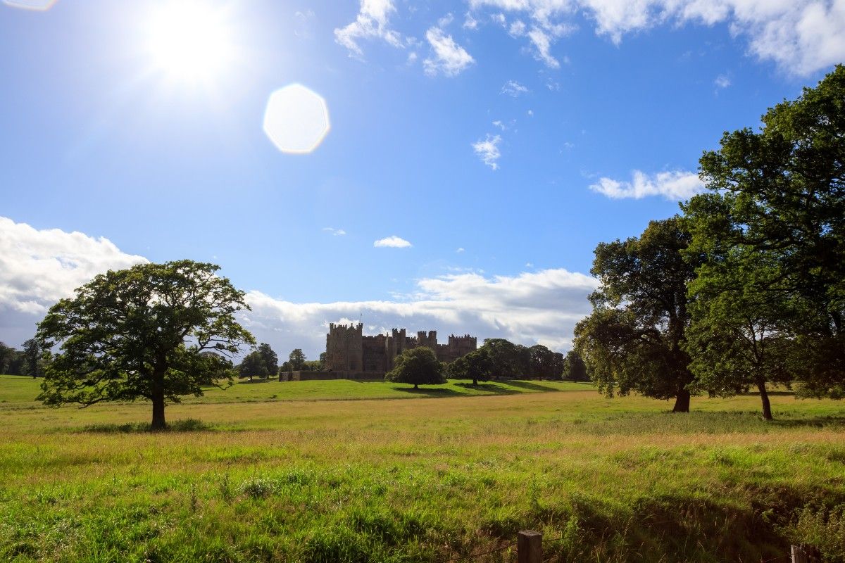 The fields surrounding Raby Castle