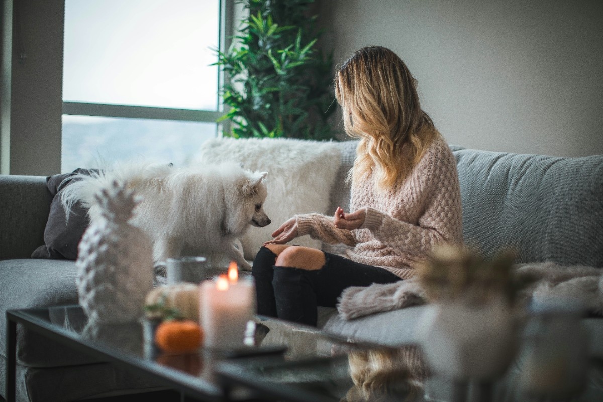 A woman and her dog on a hotel sofa 