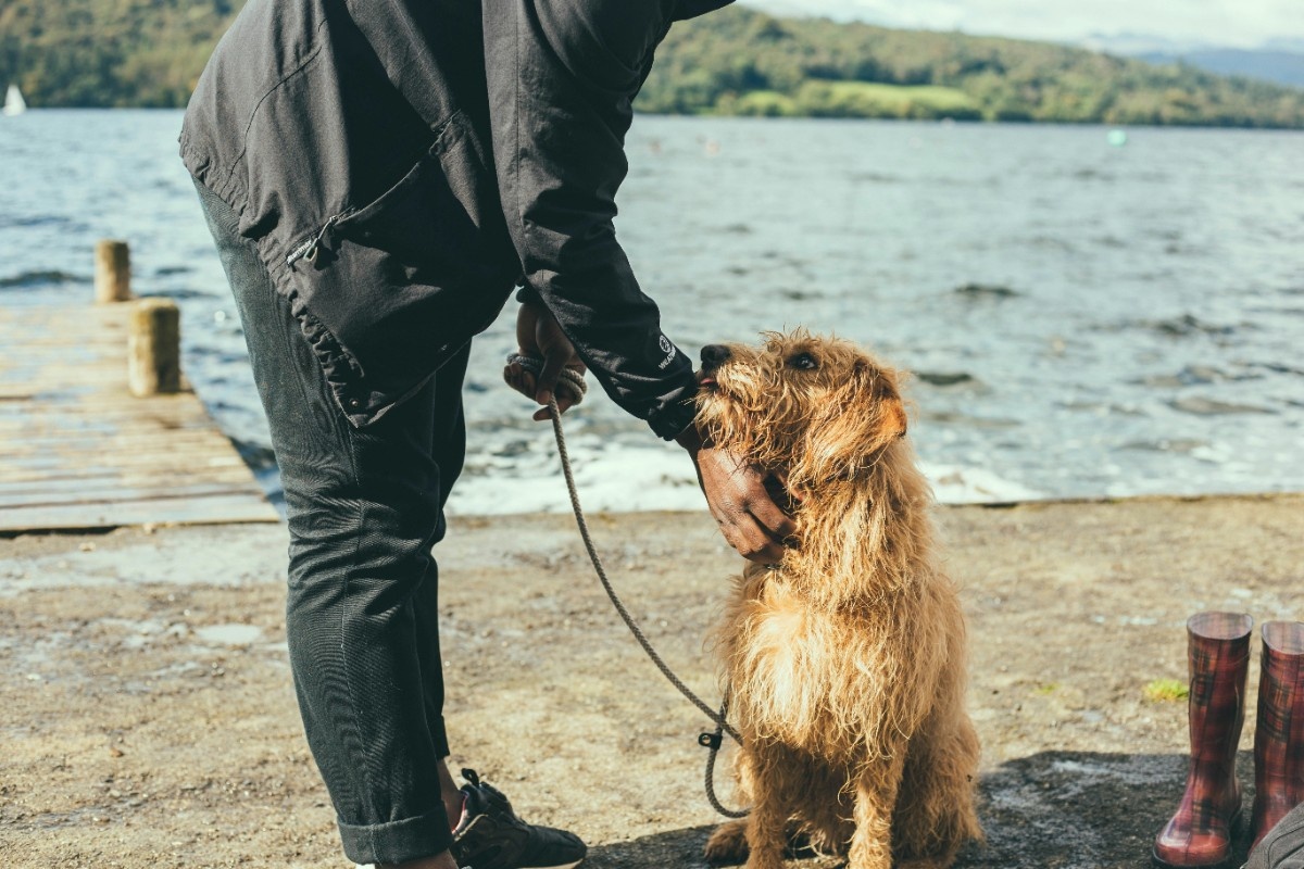 A dog with his owner next to Grasmere 