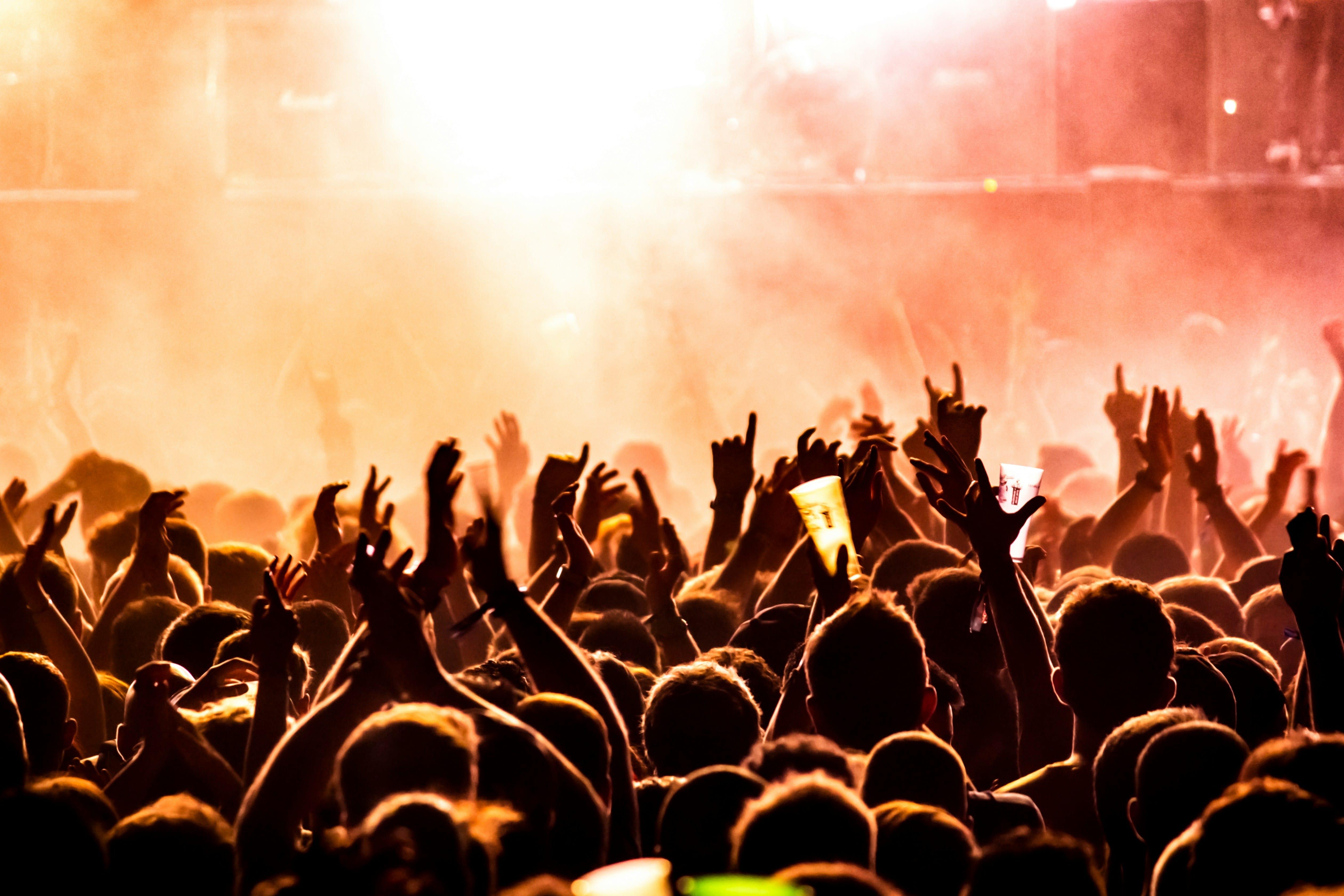 An image of a crowd dancing to rock music at Download