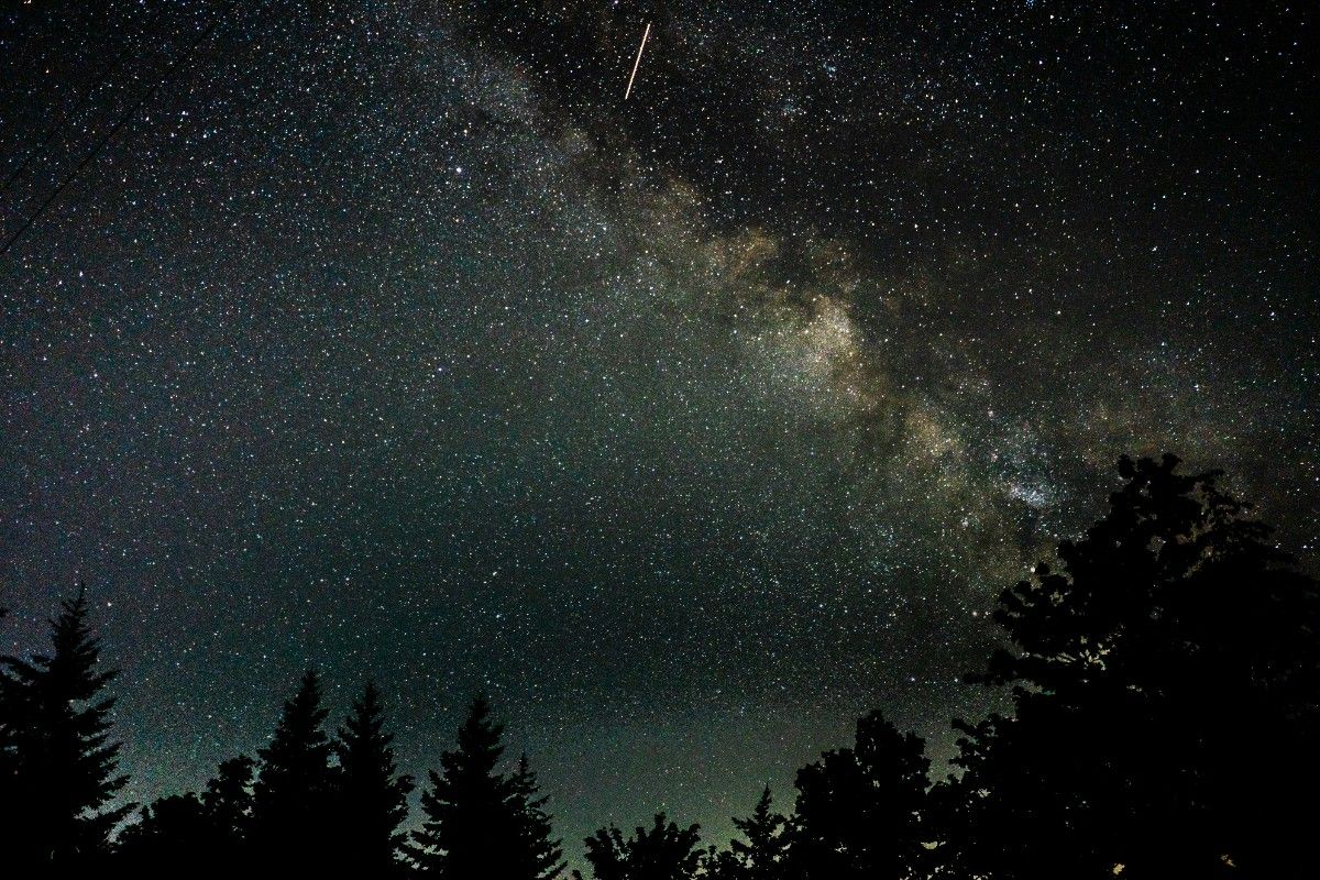 The stars in the night sky above a forest 