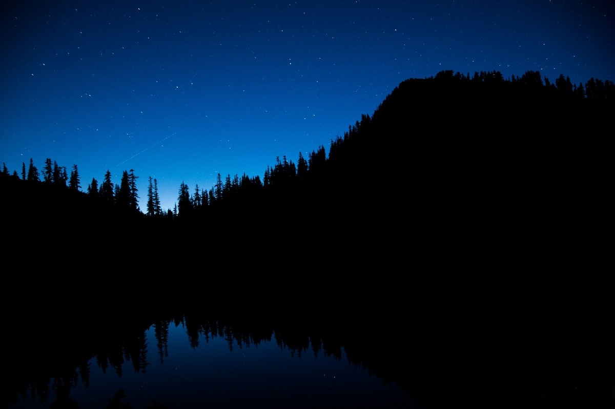 The dark sky over a forest 