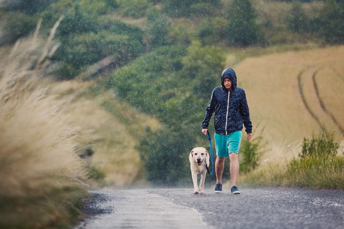 A man walking his dog through fields in the rain 