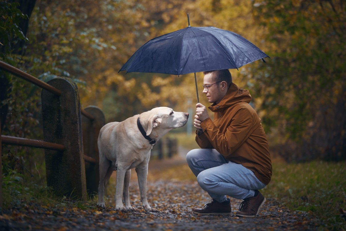 A man holding an umbrella over him and his dog on a rainy woodland path