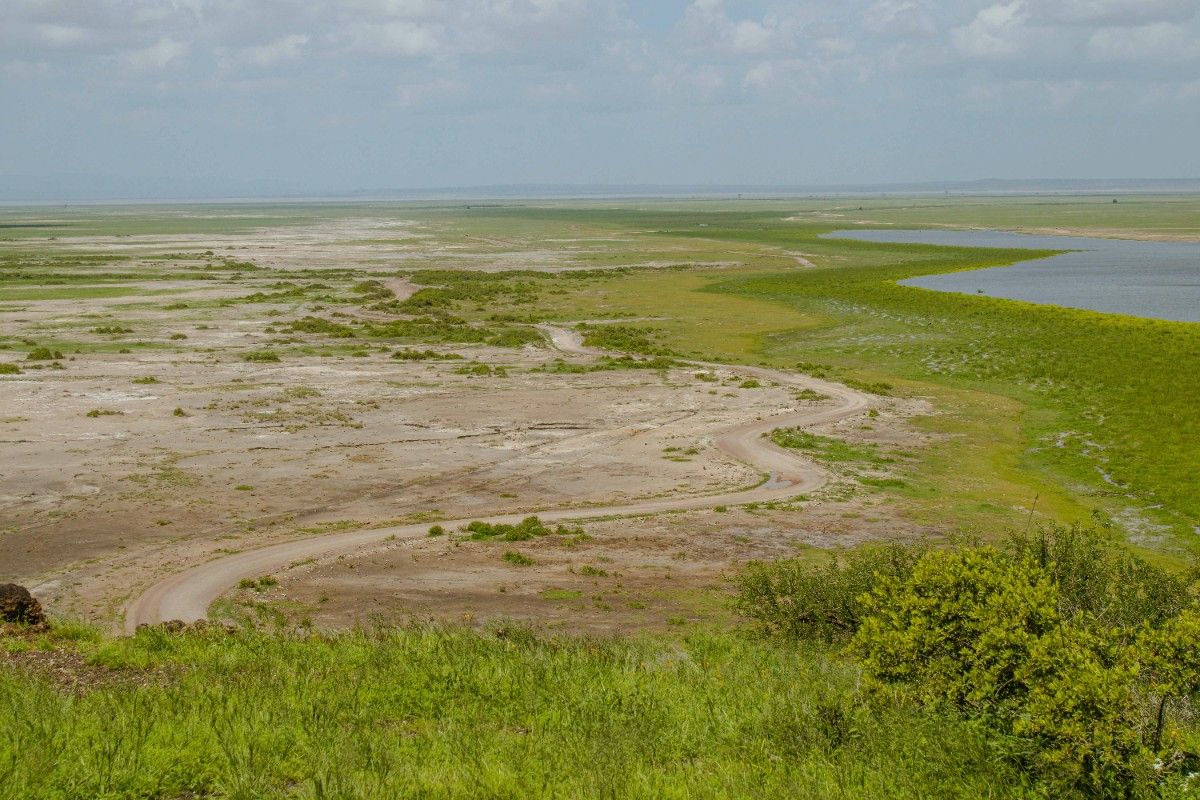 Amboseli National Park 