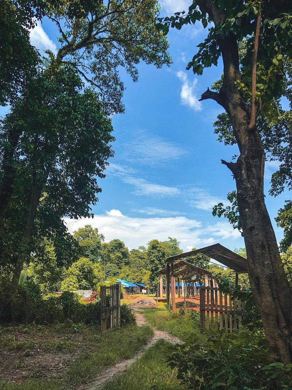 Sunny skies in Chitwan 