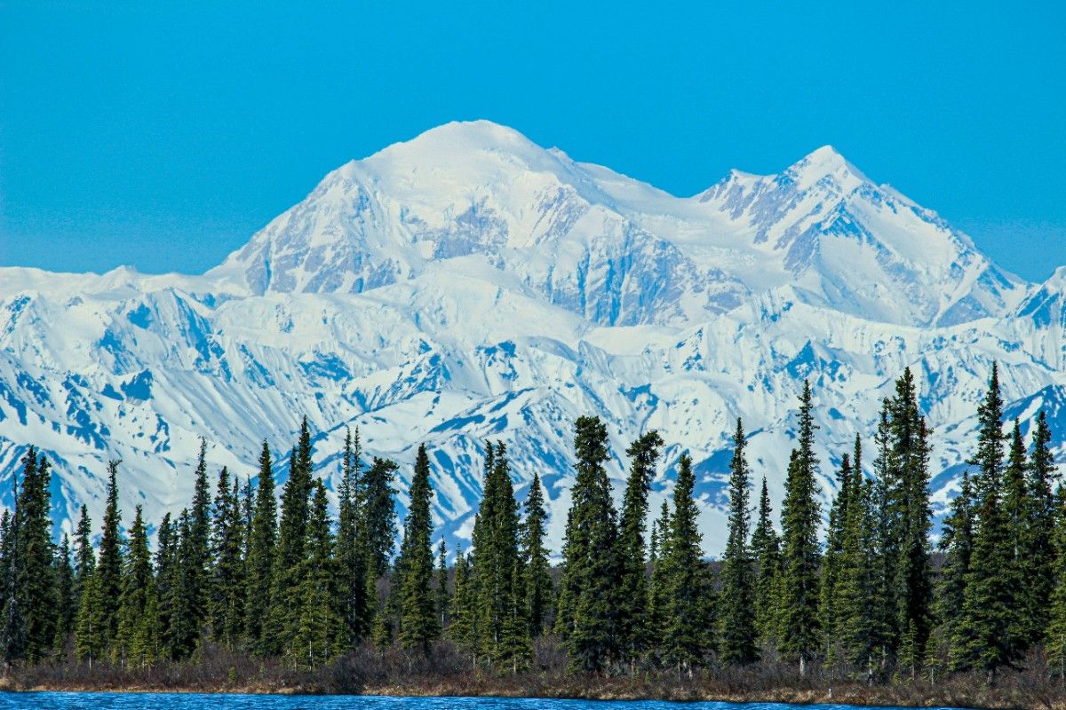 Denali mountain 