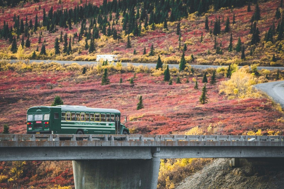 A bus going through Denali National Park 