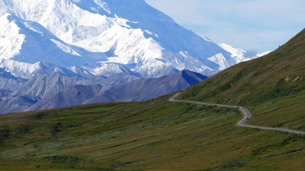 A road through Denali National Park 