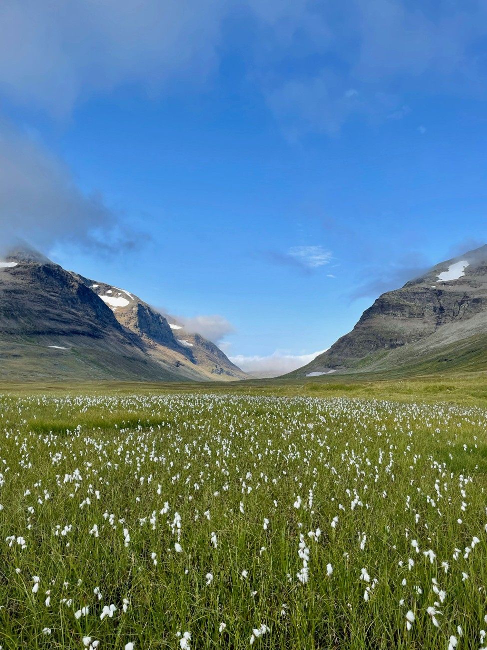 A field with two mountains on The Kungsleden Trail