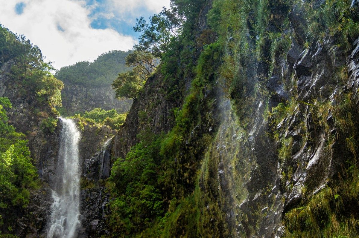 The jungle and waterfall in Madeira