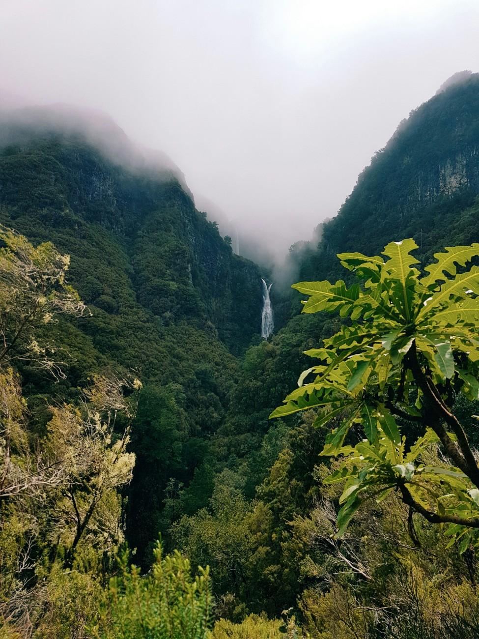 A waterfall in the Madeira jungle