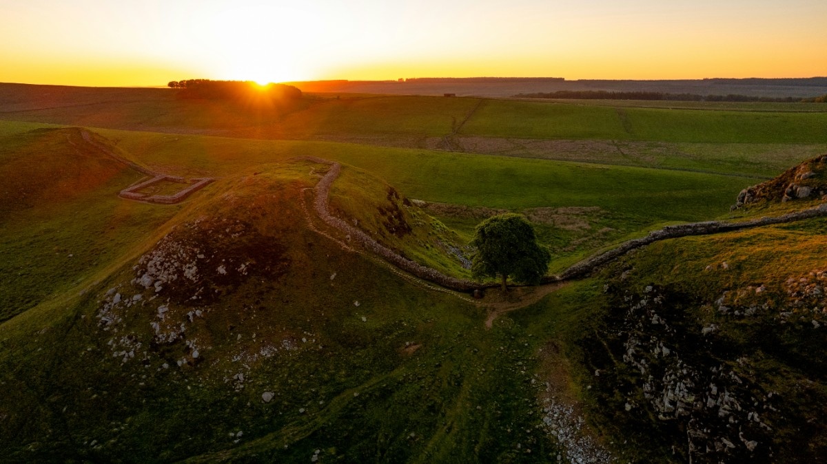 A field with Hadrian's wall running through it 