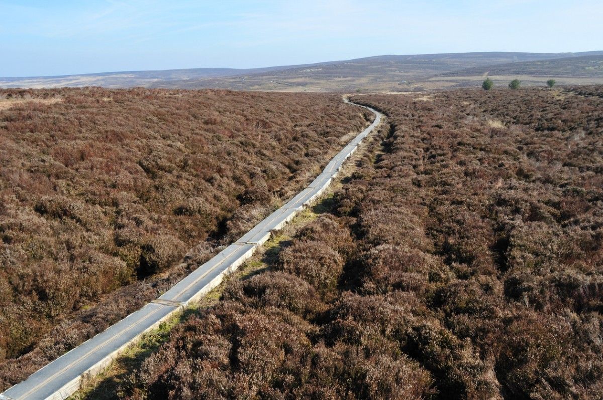 A public footpath along Offa's Dyke through the forest 