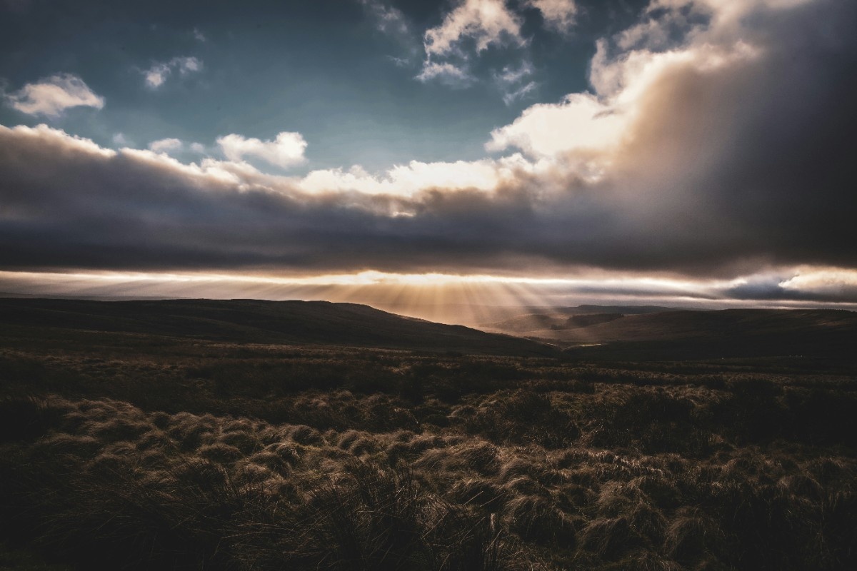 A field on the Pennine Way