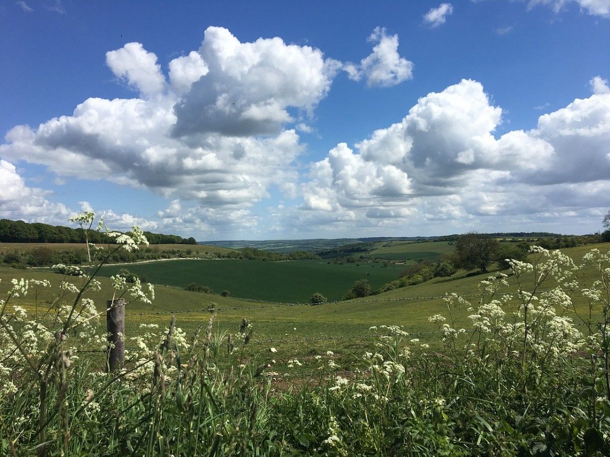 A field along The Ridgeway