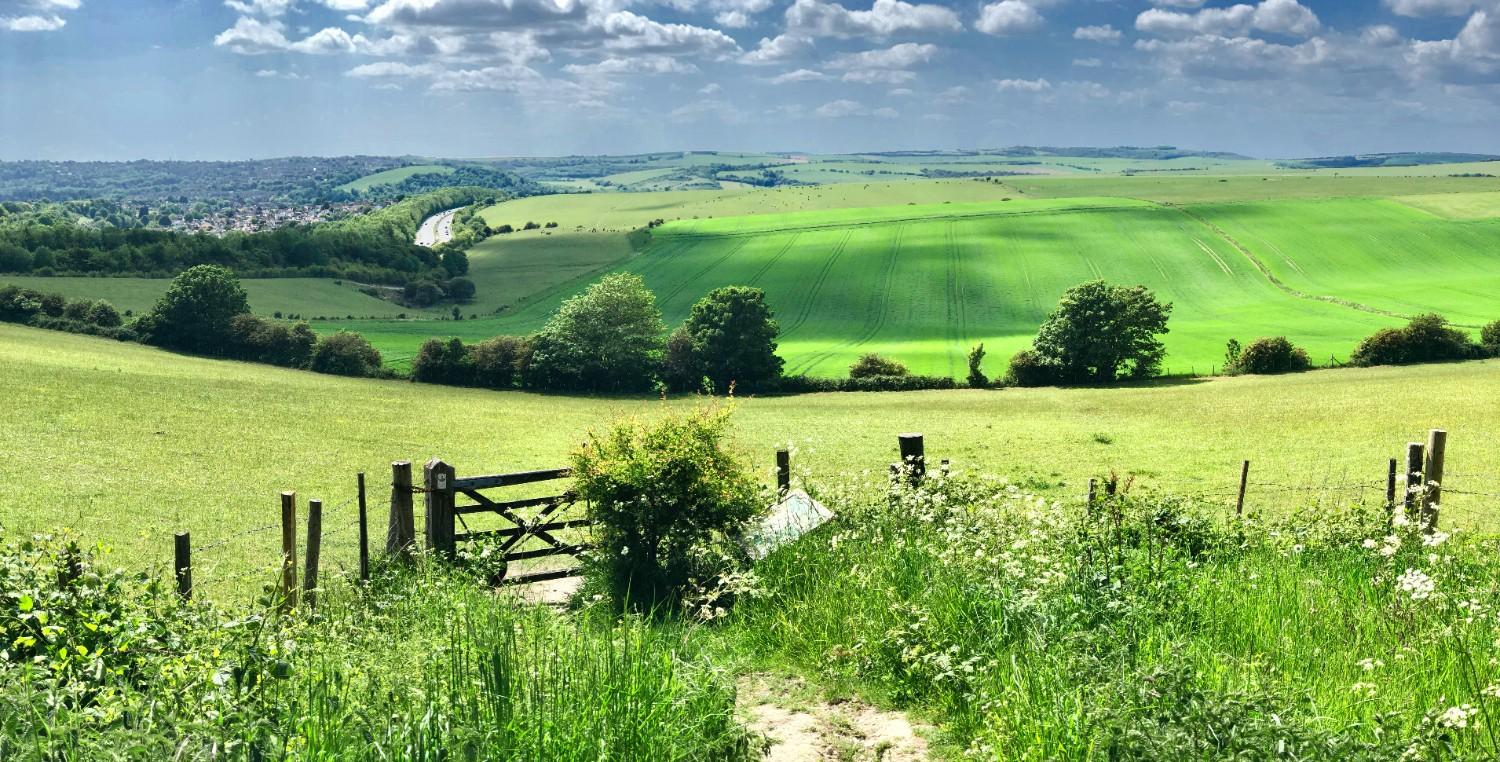 An image of a field in the South Downs National Park 