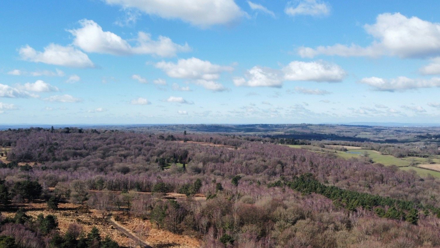 An image of a field in the South Downs National Park 