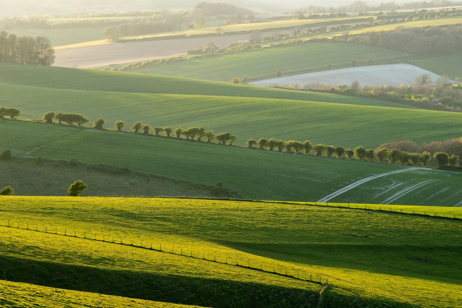 A field in the South Downs National Park 