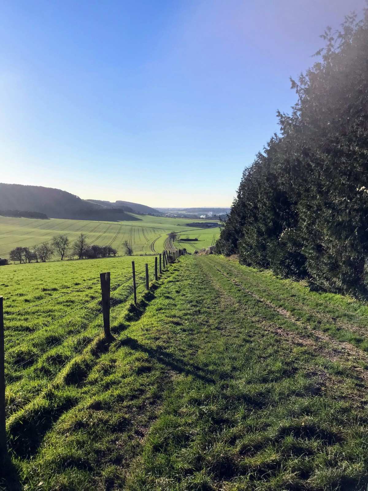 A path in the South Downs National Park 