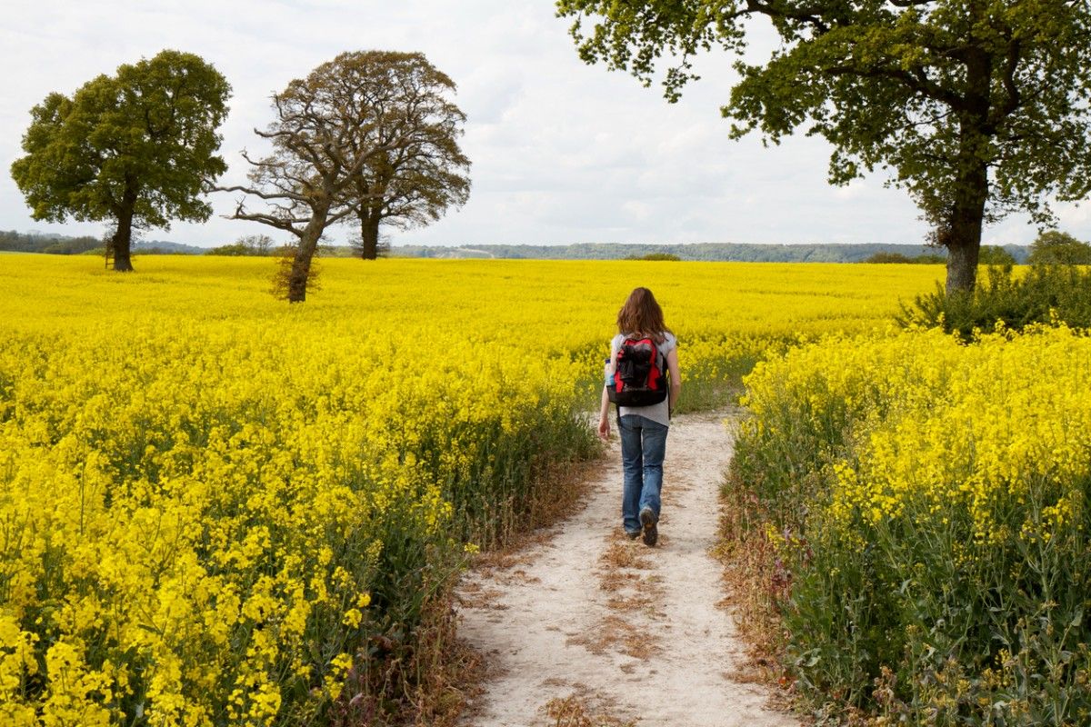 A person walking through the fields of the South Downs Way