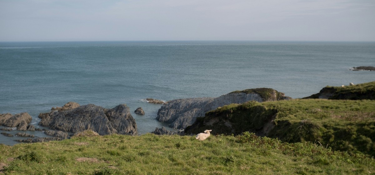 The South West Coast Path