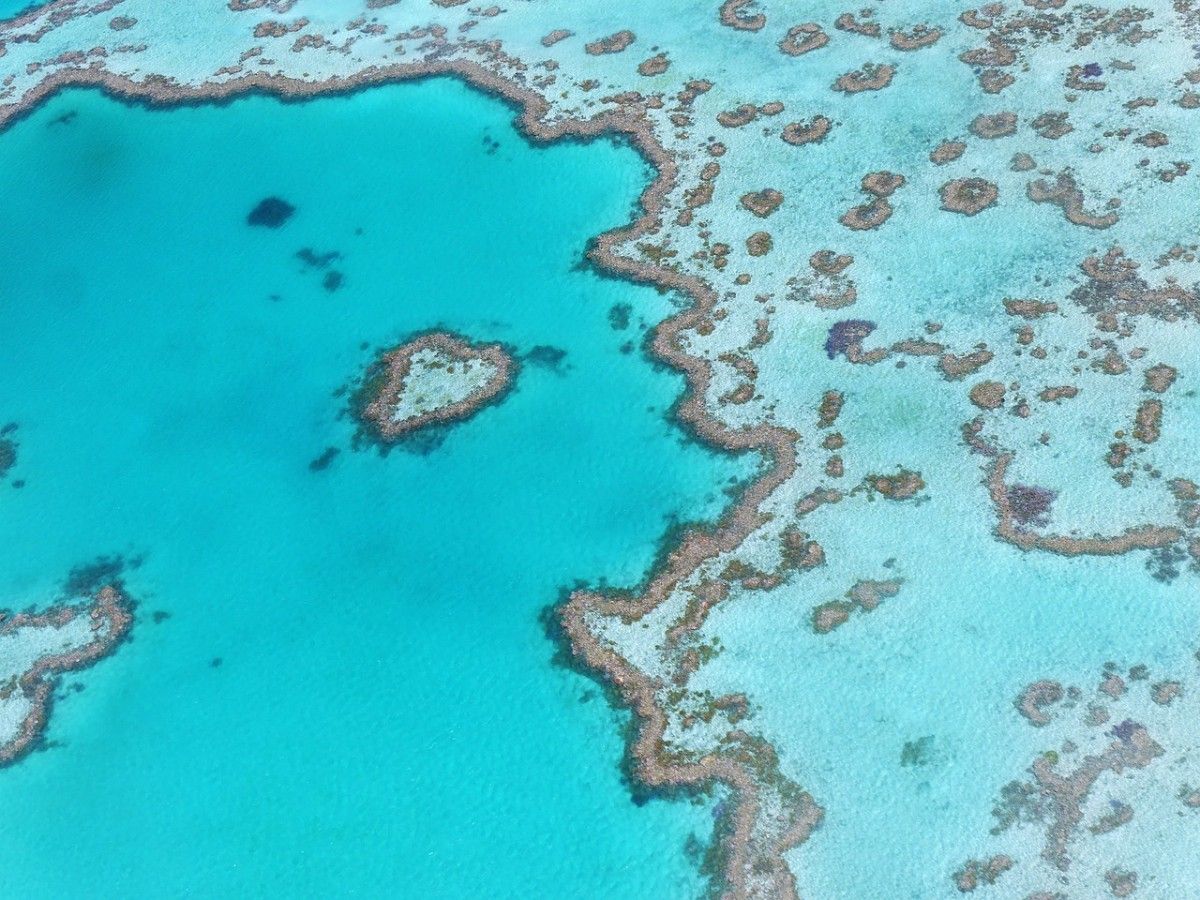 The Great Barrier Reef, Queensland