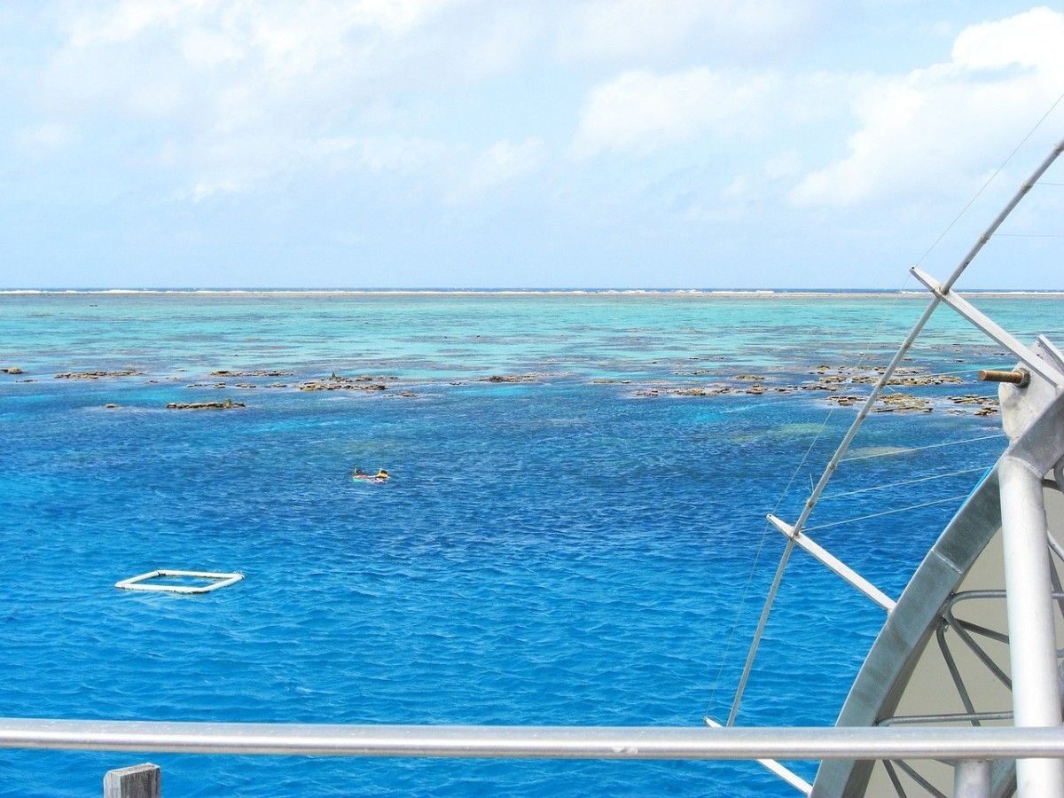 The Great Barrier Reef from a boat