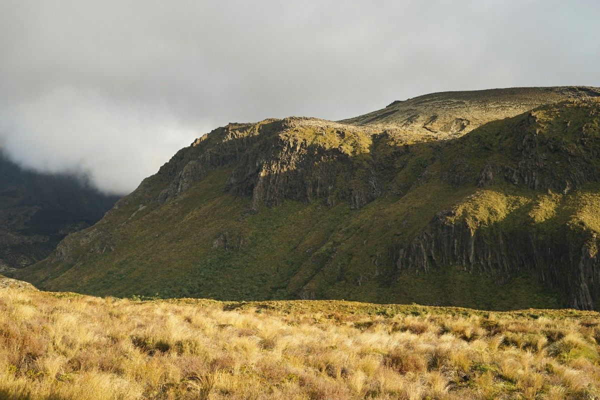 The hills of the Tongariro Alpine Crossing