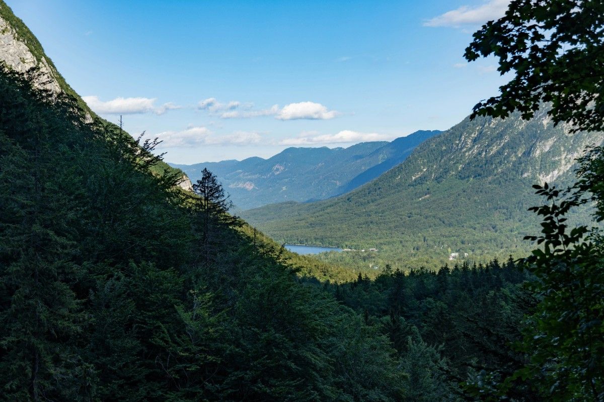 A lake in the distance through the green lush of Triglav National Park 