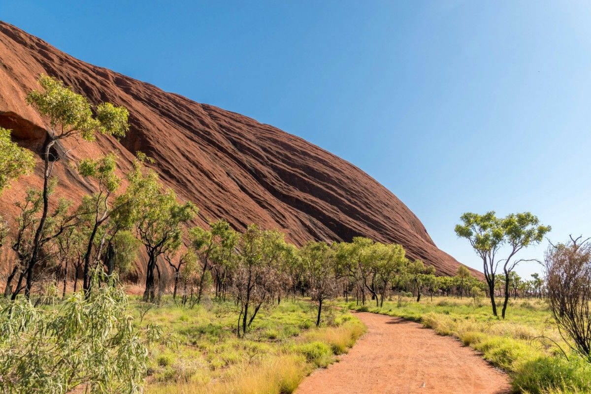 Uluru Mountain base surrounded by greenery 