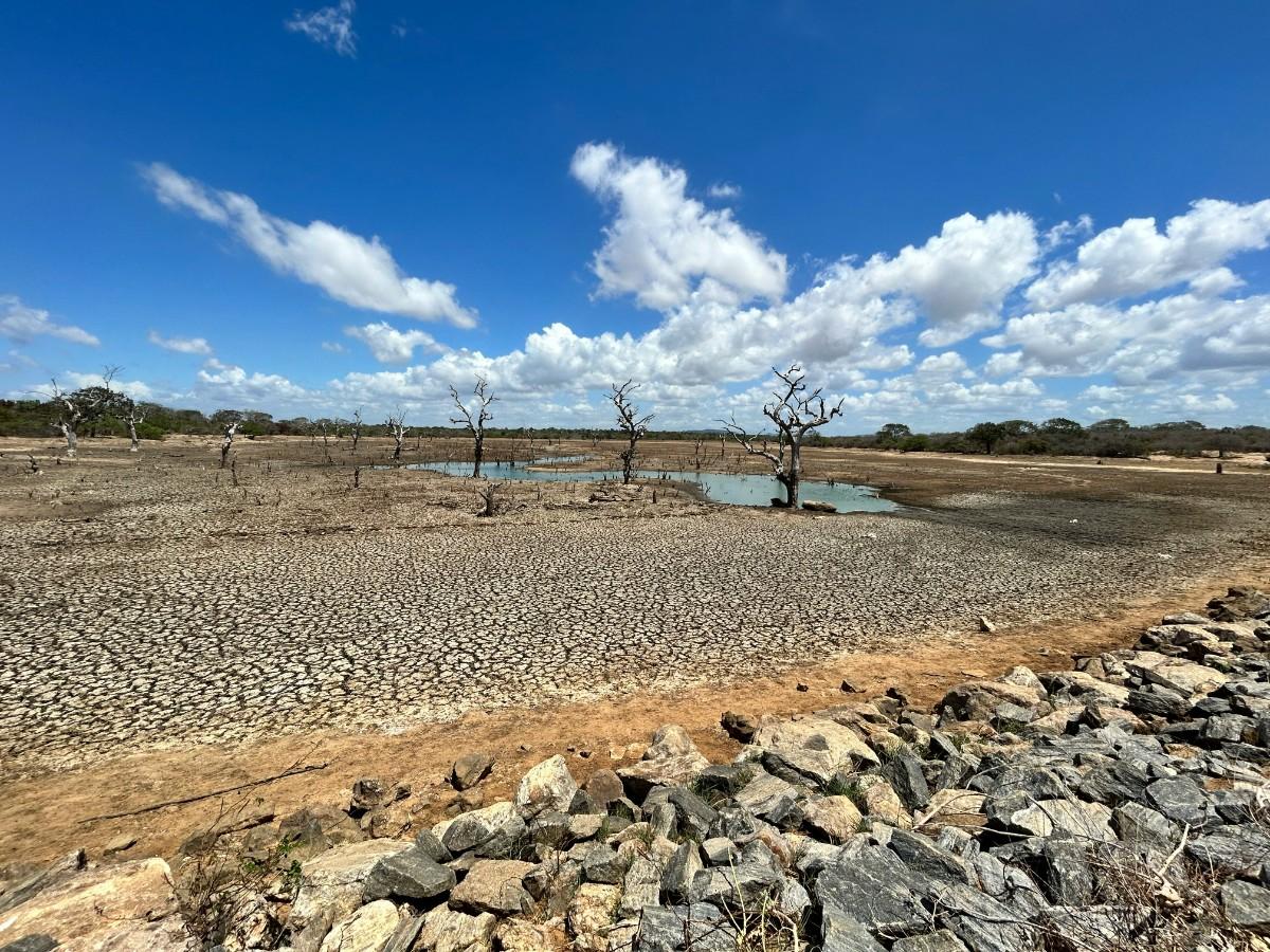 A dried lake in Yala National Park 