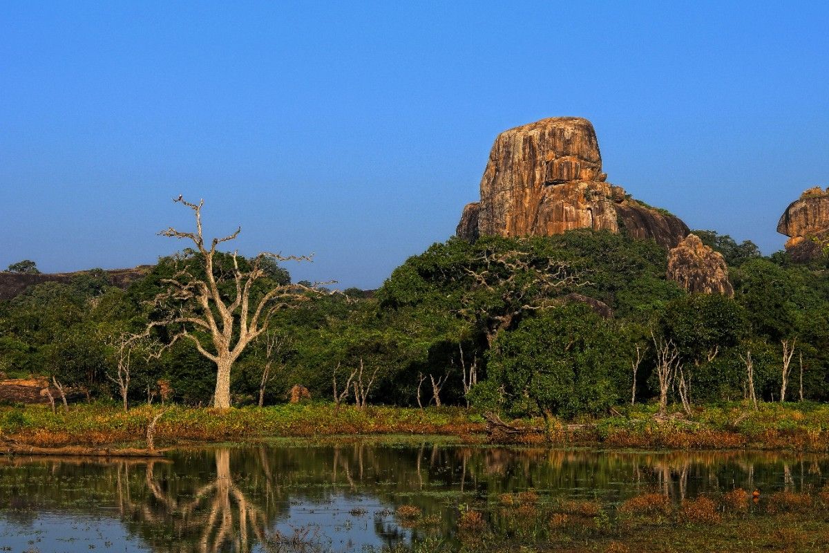 A mountain rising above a lake in Yala National Park 